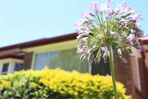 Sydney, Bexley North Holiday Home 3bedrooms, Free Parking, Close To Train Station And CBD - Redcliffe Tourism 1