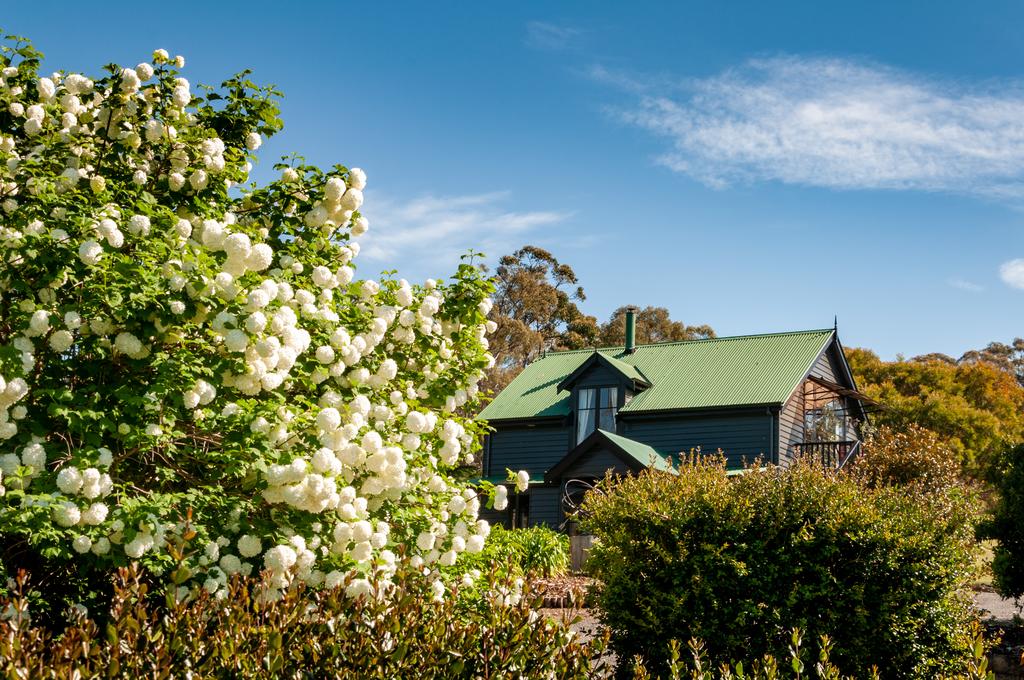 Lymington TAS Redcliffe Tourism