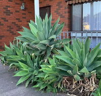 Beautiful Bedroom in Bentleigh East - Redcliffe Tourism