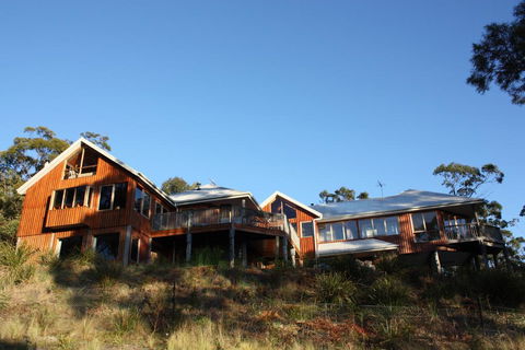 Bed In The Treetops B&B - Redcliffe Tourism 1