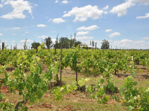Beggars Bridge Vineyard Homestead W/ Pool + Wifi + Tennis + Vineyard - Redcliffe Tourism 2