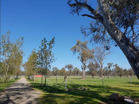 Big Tiny Jindera Park - Redcliffe Tourism 3