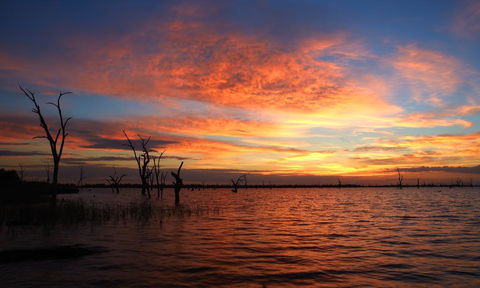 BIG4 NRMA Yarrawonga Mulwala Holiday Park - Redcliffe Tourism 0