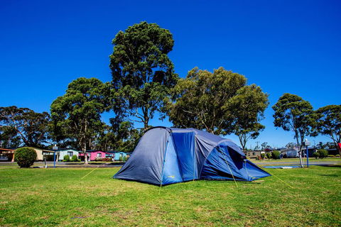 BIG4 Traralgon Park Lane Holiday Park - Redcliffe Tourism 2