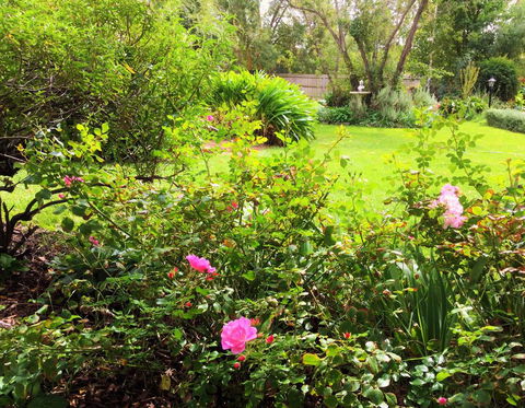 Bindley House B&B Cottage - Redcliffe Tourism 2