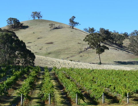 Blue House At Mountainside Wines - Redcliffe Tourism 3