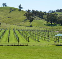 Blue House at Mountainside Wines - Redcliffe Tourism
