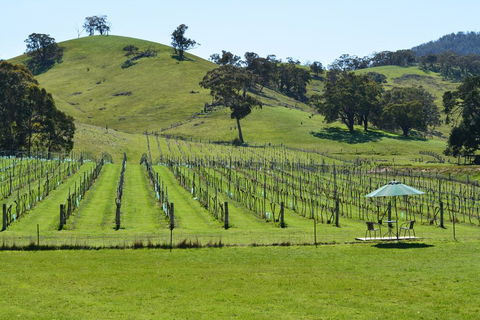 Blue House At Mountainside Wines - Redcliffe Tourism 0