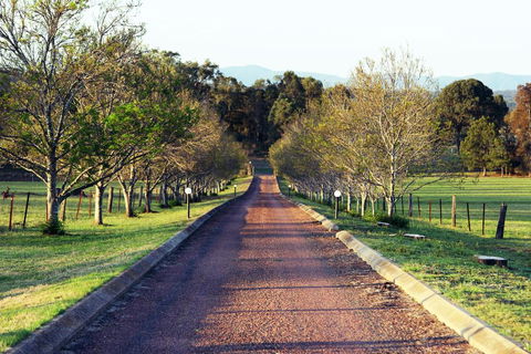 Blueberry Hill Vineyard Villa - Redcliffe Tourism 0