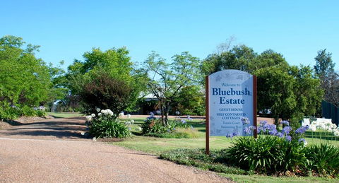 Bluebush Estate - Redcliffe Tourism 0