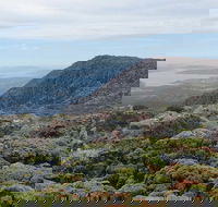 kunanyi/Mt Wellington Explorer Bus - One Way Tour - Redcliffe Tourism