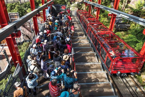 Private Guided Tour: Blue Mountains Tour From Sydney - Redcliffe Tourism 1