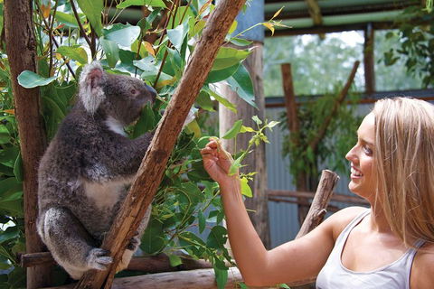 Private Guided Tour: Blue Mountains Tour From Sydney - Redcliffe Tourism 5