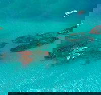 Private Tangalooma Wrecks Tour - Redcliffe Tourism