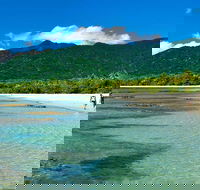 5-Day Best of Cairns with Daintree Kuranda and Great Barrier Reef - Redcliffe Tourism
