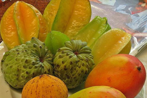 Cairns 4WD Waterfall And Rainforest Tour Including Kuranda Scenic Railway - Redcliffe Tourism 4