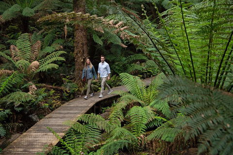 2 Day Exclusively Private Tour Of Phillip Island & The Great Ocean Road - Redcliffe Tourism 5