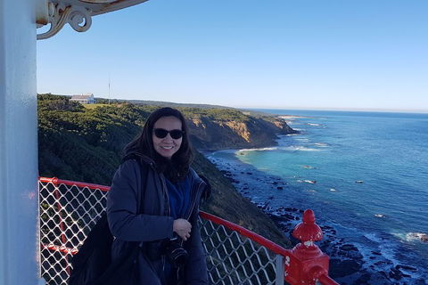 Great Ocean Road Full Day Private Experience - Redcliffe Tourism 1
