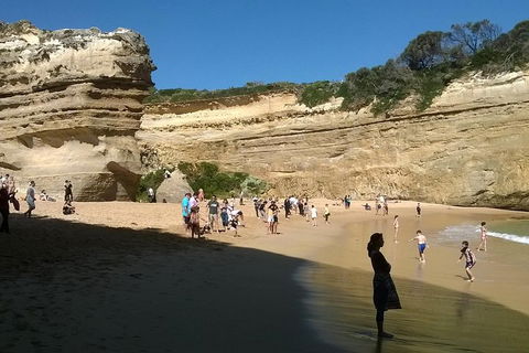 Great Ocean Road Full Day Private Experience - Redcliffe Tourism 3