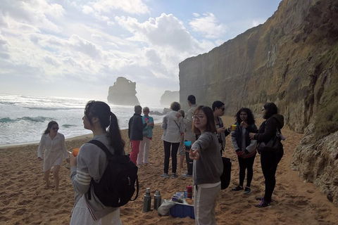 Great Ocean Road Full Day Private Experience - Redcliffe Tourism 4