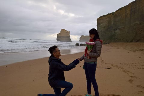 Private Express Experience - 12 Apostles - Redcliffe Tourism 2