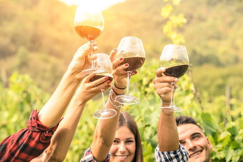 McLaren Vale Luxury Wine Tour - Redcliffe Tourism 2