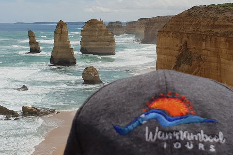 12 Apostles Tour From Warrnambool - Redcliffe Tourism 4