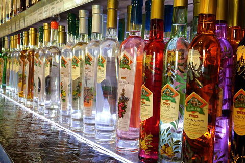 Bar & Brewery Tour - Redcliffe Tourism 4