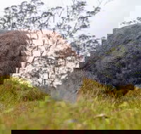 3-Day Cradle Mountain Photography Workshop - Redcliffe Tourism