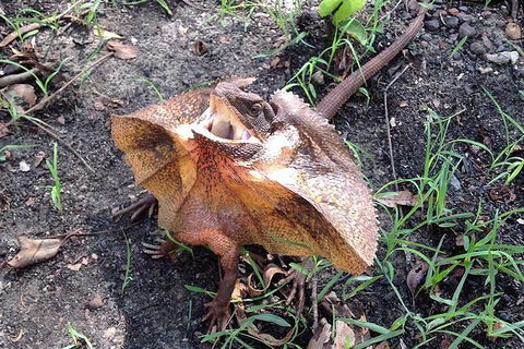 Litchfield National Park And Jumping Crocodile Cruise - Redcliffe Tourism 1