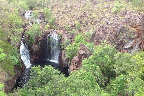 Litchfield National Park And Jumping Crocodile Cruise - Redcliffe Tourism 4