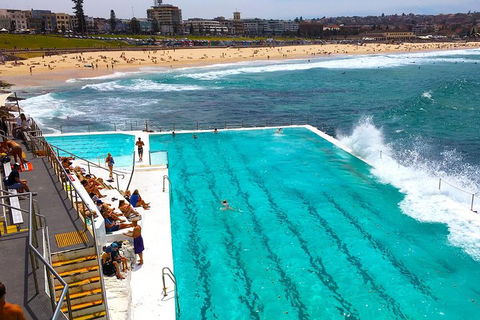 Private Sydney Half Day Tour Including Sydney Opera House And Bondi Beach - Redcliffe Tourism 1