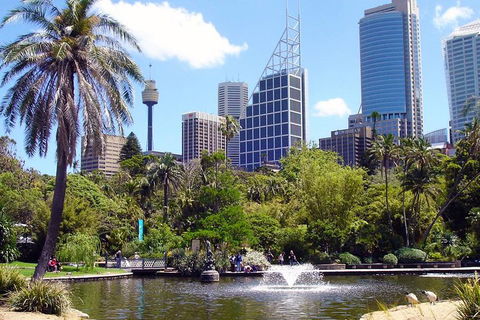 Private Sydney Half Day Tour Including Sydney Opera House And Bondi Beach - Redcliffe Tourism 4