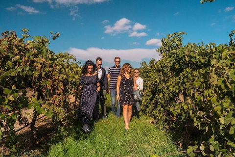 Barossa Valley Private Tour (from 2 To 11 People) - Redcliffe Tourism 0