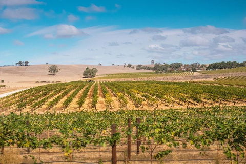 Barossa Valley Private Tour (from 2 To 11 People) - Redcliffe Tourism 2