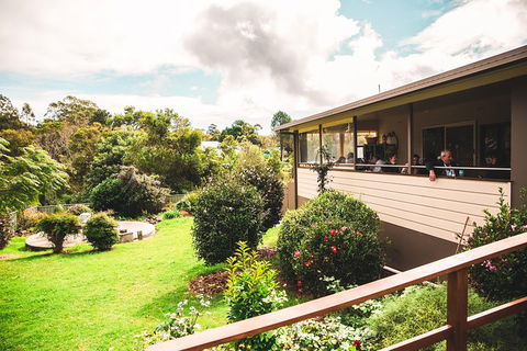 Full-day Springbrook National Park Tour From The Gold Coast - Redcliffe Tourism 2