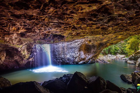 Full-day Springbrook National Park Tour From The Gold Coast - Redcliffe Tourism 3