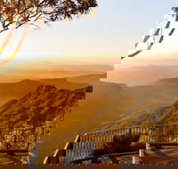 O'Reilly's  Lamington National Park incl. Alpaca Farm  Vineyard - Redcliffe Tourism