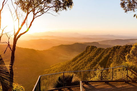 O'Reilly's & Lamington National Park Incl. Alpaca Farm + Vineyard - Redcliffe Tourism 0