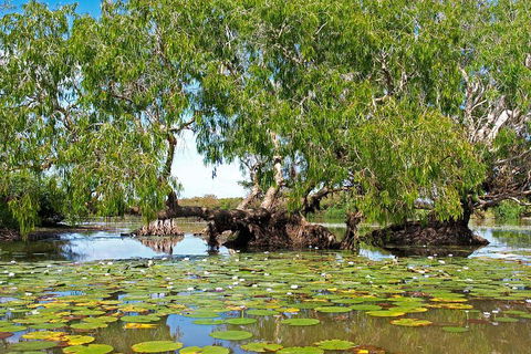 Ethical Adventures - Best In The WET - Litchfield / Kakadu 3 Day- Max 10 Guests - Redcliffe Tourism 1