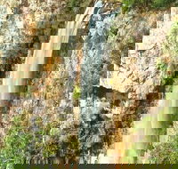 Private Tour - Rainforest  Waterfalls Extravaganza - Redcliffe Tourism