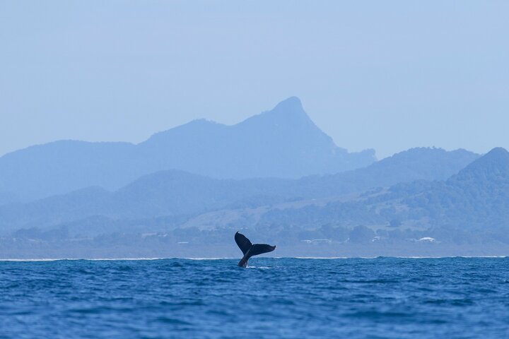  Redcliffe Tourism