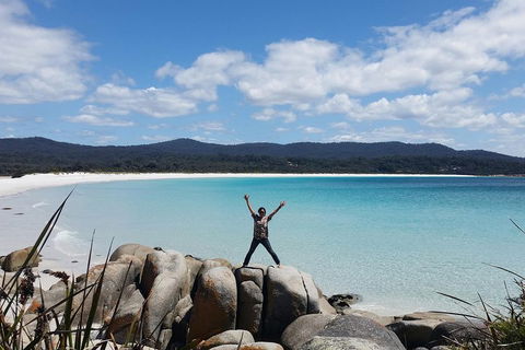 Tasmania 4 Day East Coast + Launceston - Redcliffe Tourism 1
