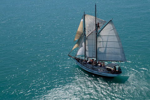Whitehaven Beach Sailing And Snorkeling Cruise - Redcliffe Tourism 1