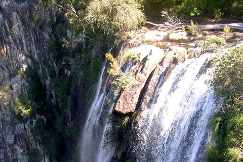 Byron Bay Combo: Hinterland Tour Including Minyon Falls And Kayaking With Dolphins - Redcliffe Tourism 3