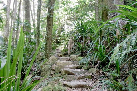 Byron Bay Combo: Hinterland Tour Including Minyon Falls And Kayaking With Dolphins - Redcliffe Tourism 5