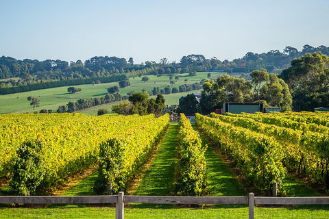 Private Tours From Melbourne - Redcliffe Tourism 1