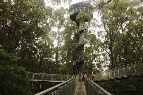 Private Tours From Melbourne - Redcliffe Tourism 5