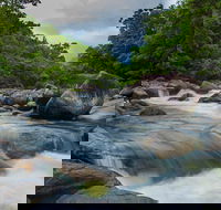 Cape Tribulation Day Tour - Redcliffe Tourism