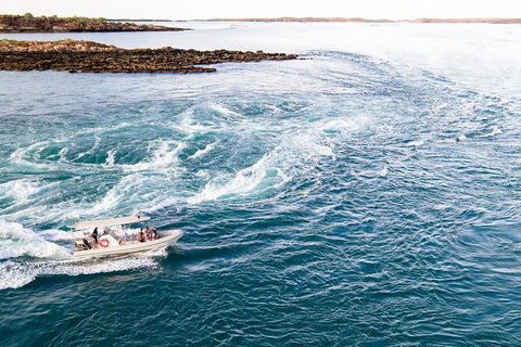 Giant Tides Tour - Cygnet Bay Pearl Farm - Redcliffe Tourism 4
